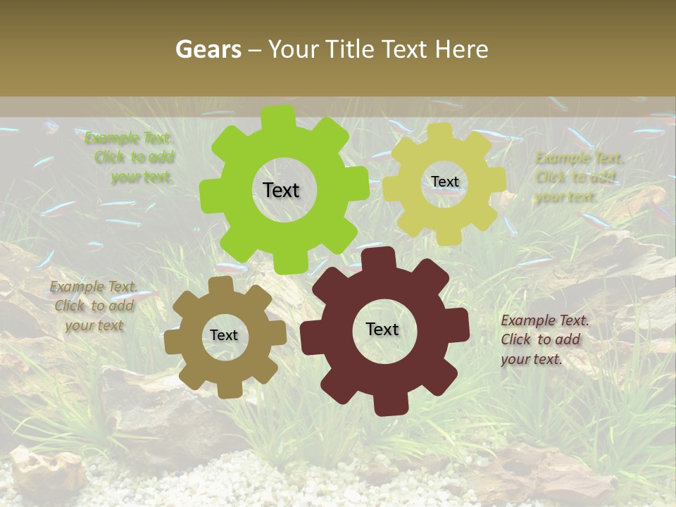 A Fish Tank Filled With Plants And Rocks PowerPoint Template