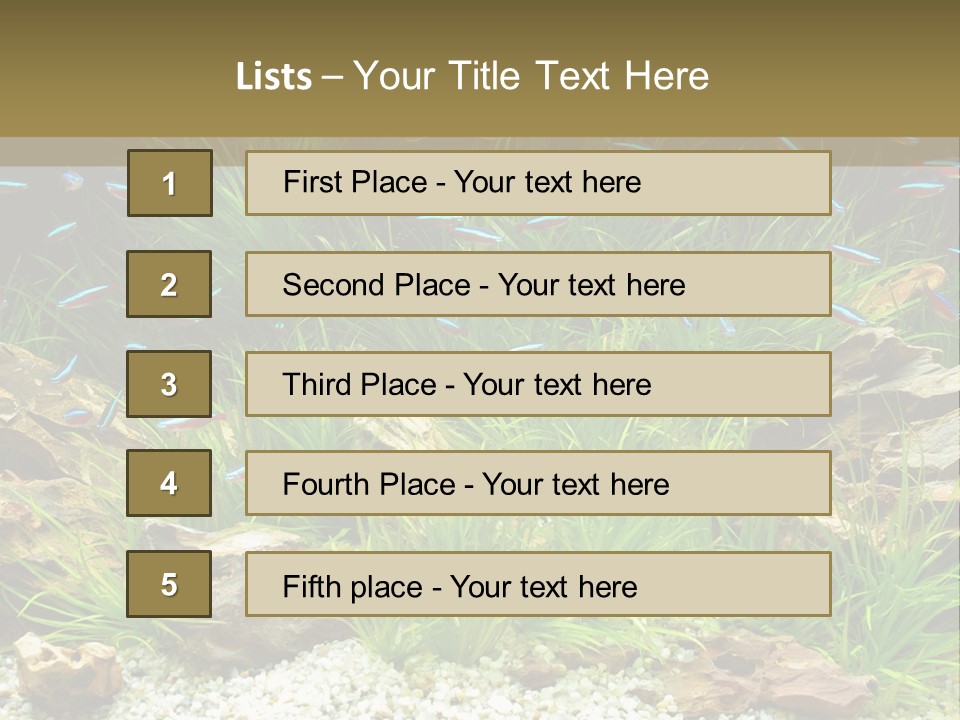 A Fish Tank Filled With Plants And Rocks PowerPoint Template