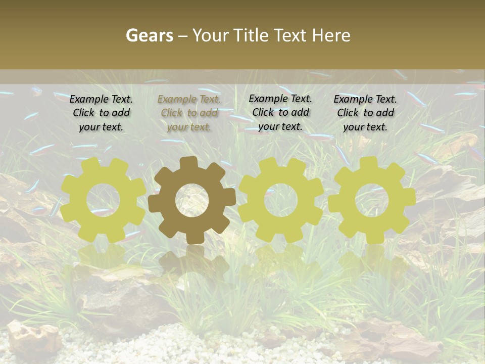 A Fish Tank Filled With Plants And Rocks PowerPoint Template