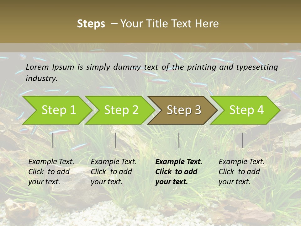 A Fish Tank Filled With Plants And Rocks PowerPoint Template