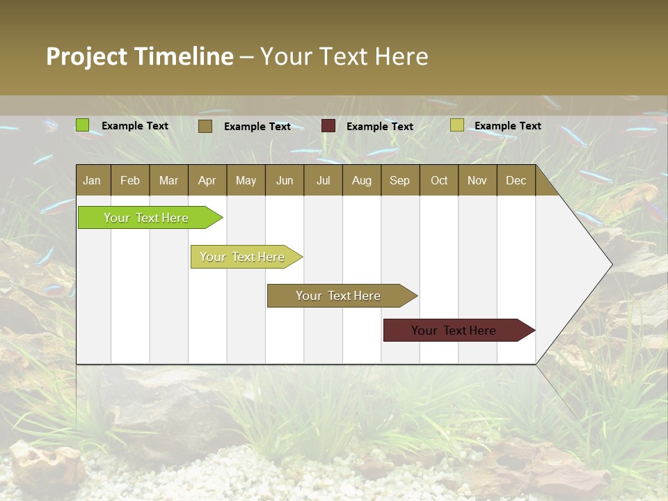 A Fish Tank Filled With Plants And Rocks PowerPoint Template
