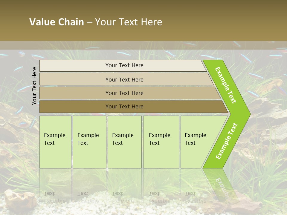 A Fish Tank Filled With Plants And Rocks PowerPoint Template