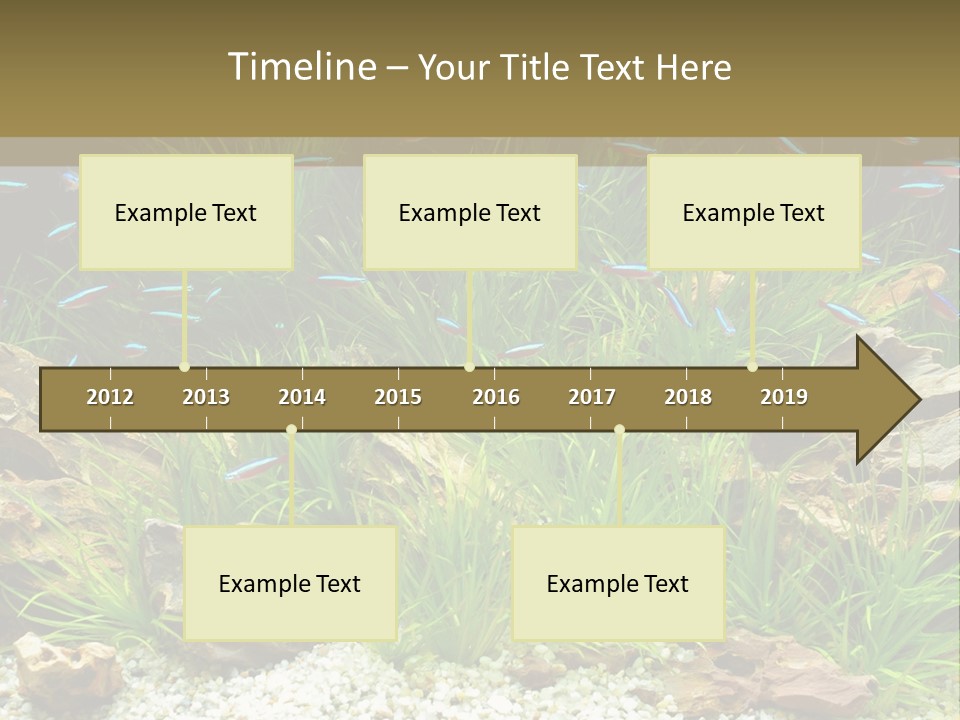 A Fish Tank Filled With Plants And Rocks PowerPoint Template