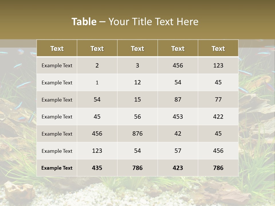 A Fish Tank Filled With Plants And Rocks PowerPoint Template