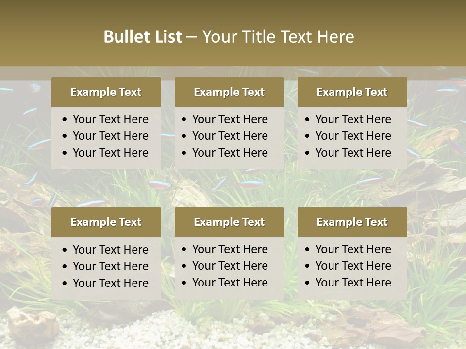 A Fish Tank Filled With Plants And Rocks PowerPoint Template