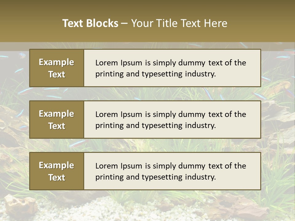 A Fish Tank Filled With Plants And Rocks PowerPoint Template