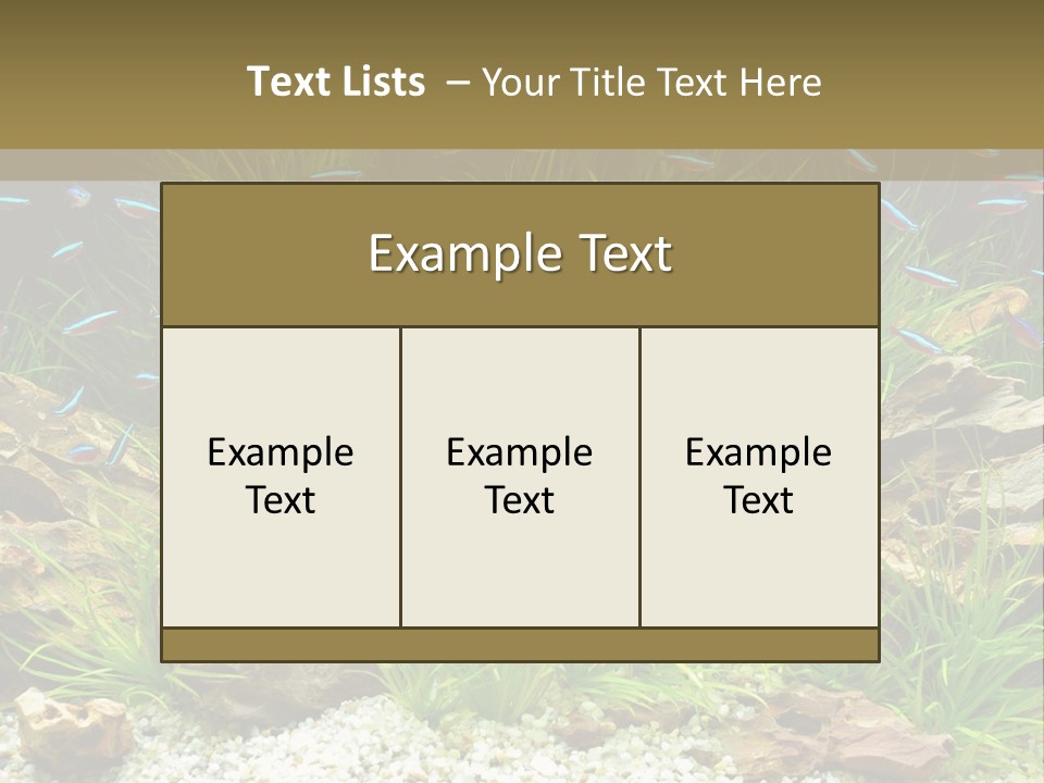 A Fish Tank Filled With Plants And Rocks PowerPoint Template