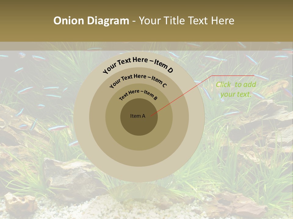 A Fish Tank Filled With Plants And Rocks PowerPoint Template