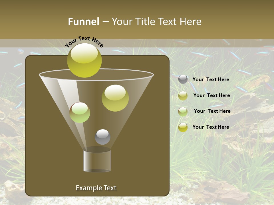 A Fish Tank Filled With Plants And Rocks PowerPoint Template