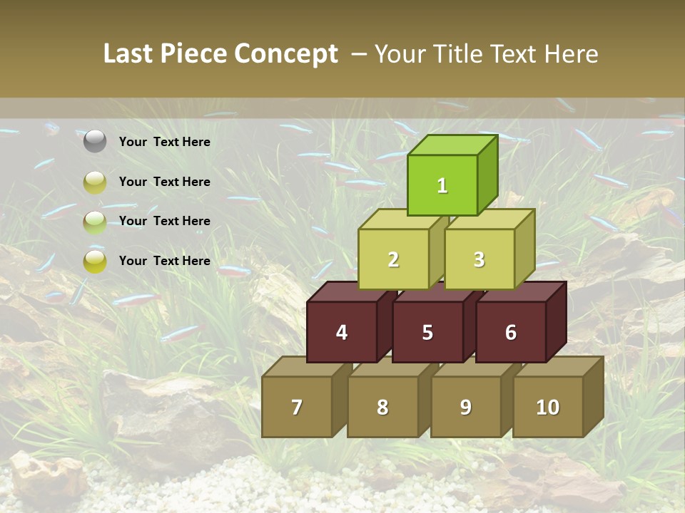 A Fish Tank Filled With Plants And Rocks PowerPoint Template