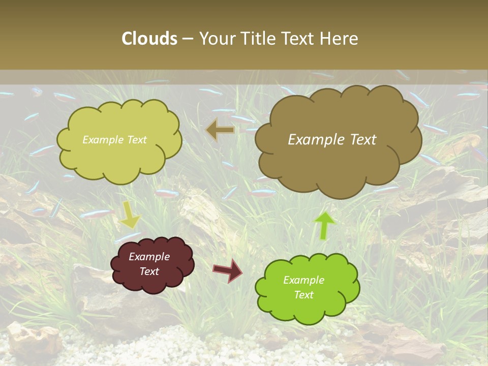 A Fish Tank Filled With Plants And Rocks PowerPoint Template