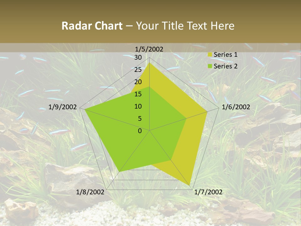 A Fish Tank Filled With Plants And Rocks PowerPoint Template