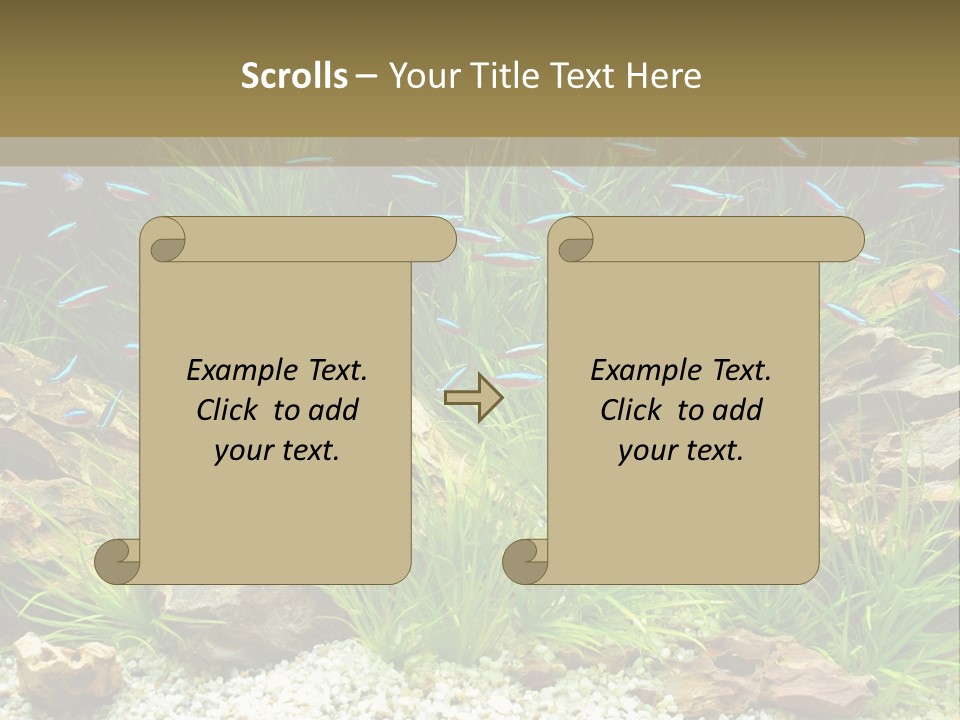 A Fish Tank Filled With Plants And Rocks PowerPoint Template
