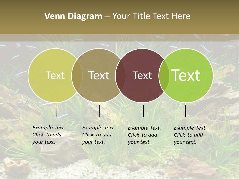A Fish Tank Filled With Plants And Rocks PowerPoint Template