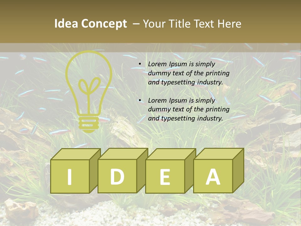 A Fish Tank Filled With Plants And Rocks PowerPoint Template