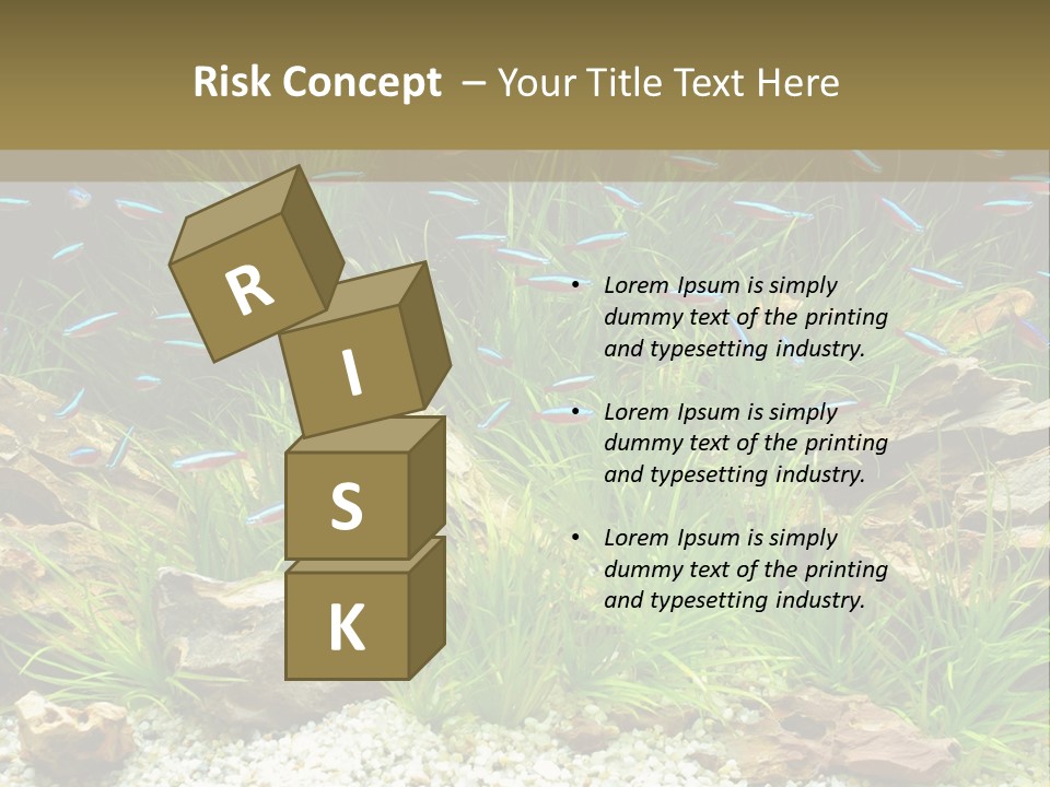 A Fish Tank Filled With Plants And Rocks PowerPoint Template