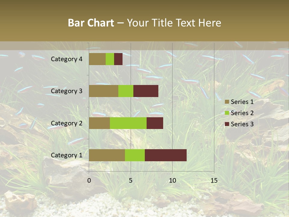 A Fish Tank Filled With Plants And Rocks PowerPoint Template