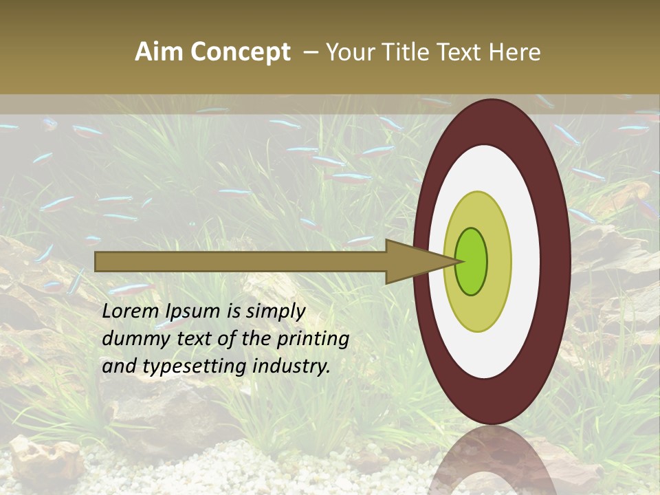 A Fish Tank Filled With Plants And Rocks PowerPoint Template