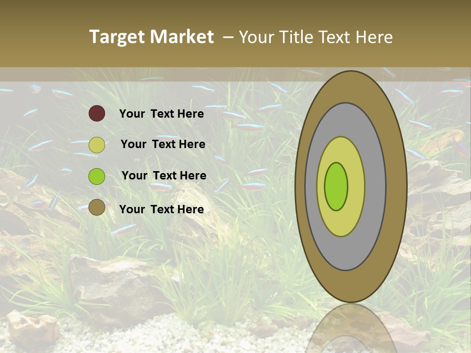 A Fish Tank Filled With Plants And Rocks PowerPoint Template