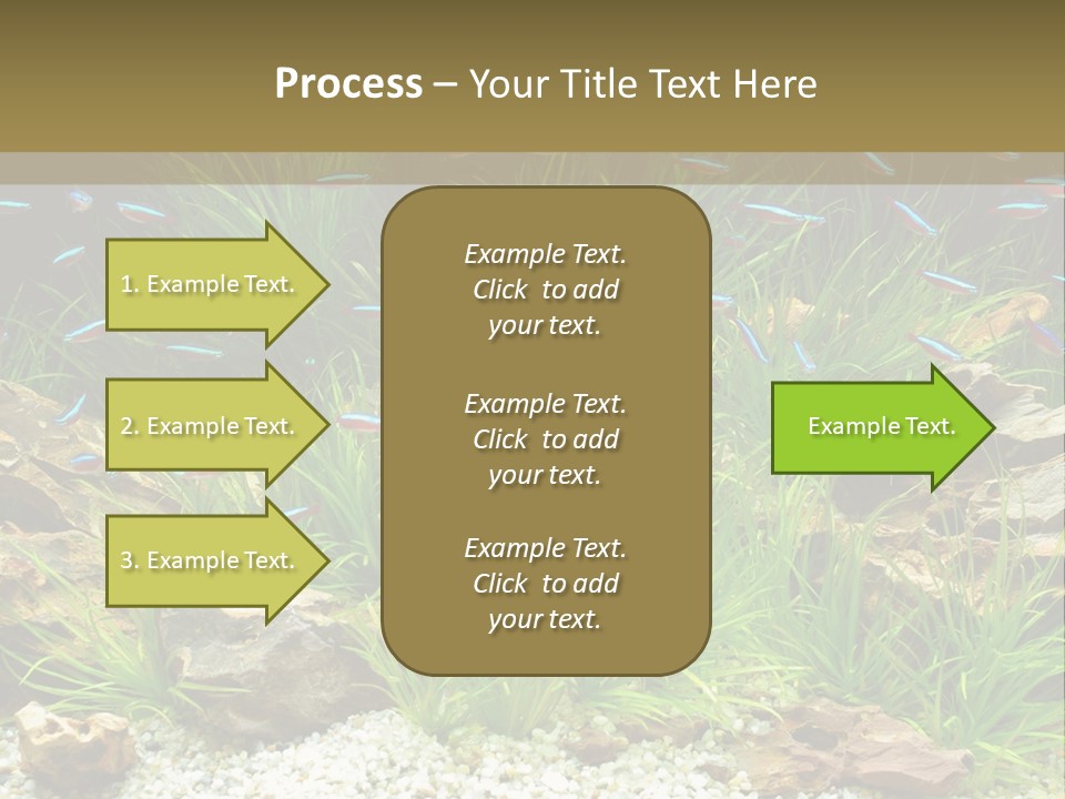 A Fish Tank Filled With Plants And Rocks PowerPoint Template