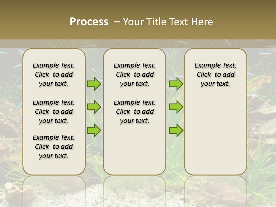 A Fish Tank Filled With Plants And Rocks PowerPoint Template