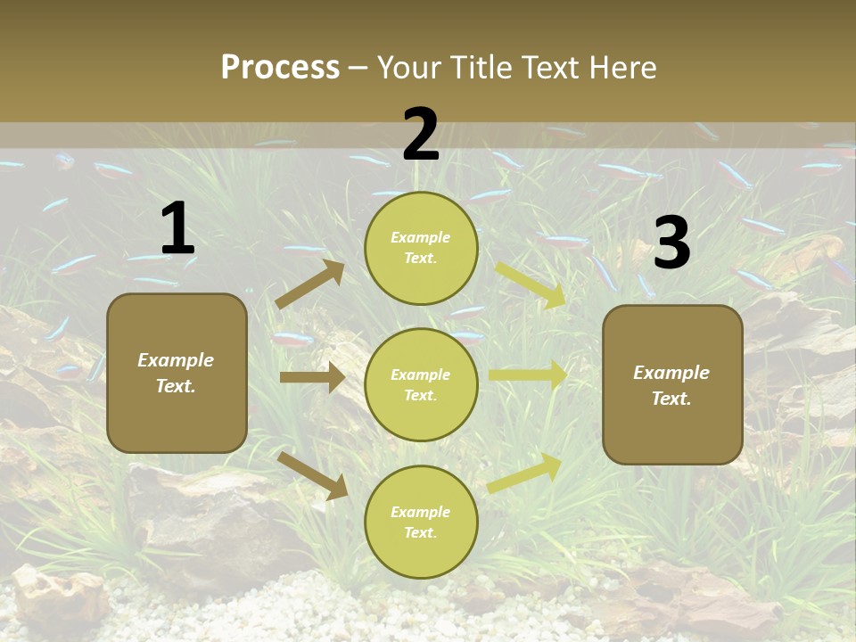 A Fish Tank Filled With Plants And Rocks PowerPoint Template