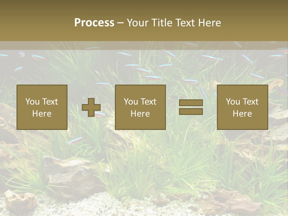 A Fish Tank Filled With Plants And Rocks PowerPoint Template