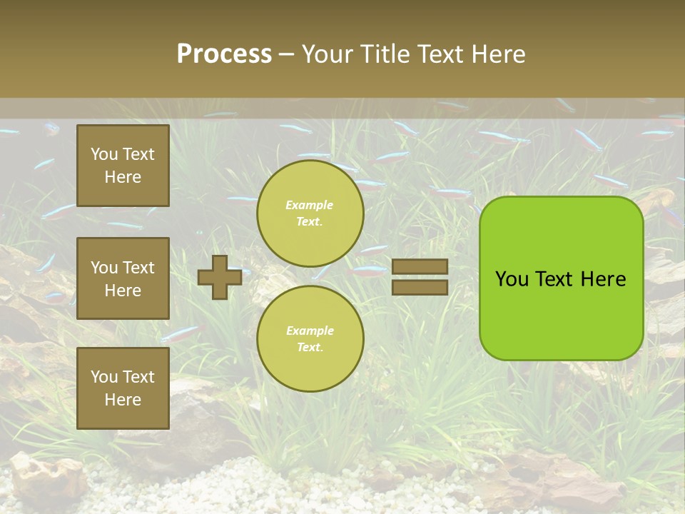 A Fish Tank Filled With Plants And Rocks PowerPoint Template