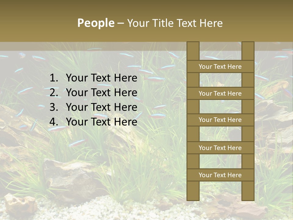 A Fish Tank Filled With Plants And Rocks PowerPoint Template