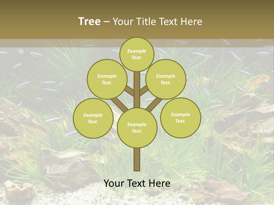 A Fish Tank Filled With Plants And Rocks PowerPoint Template