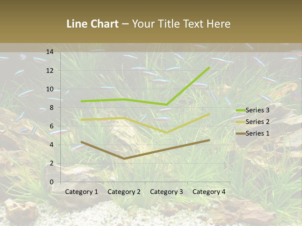 A Fish Tank Filled With Plants And Rocks PowerPoint Template