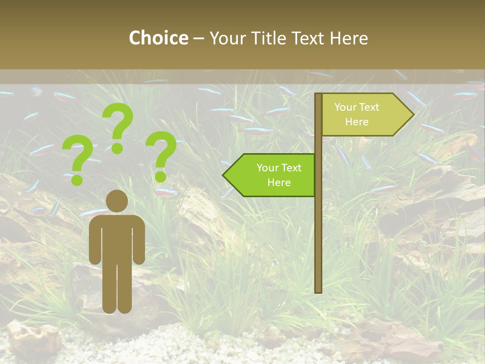 A Fish Tank Filled With Plants And Rocks PowerPoint Template