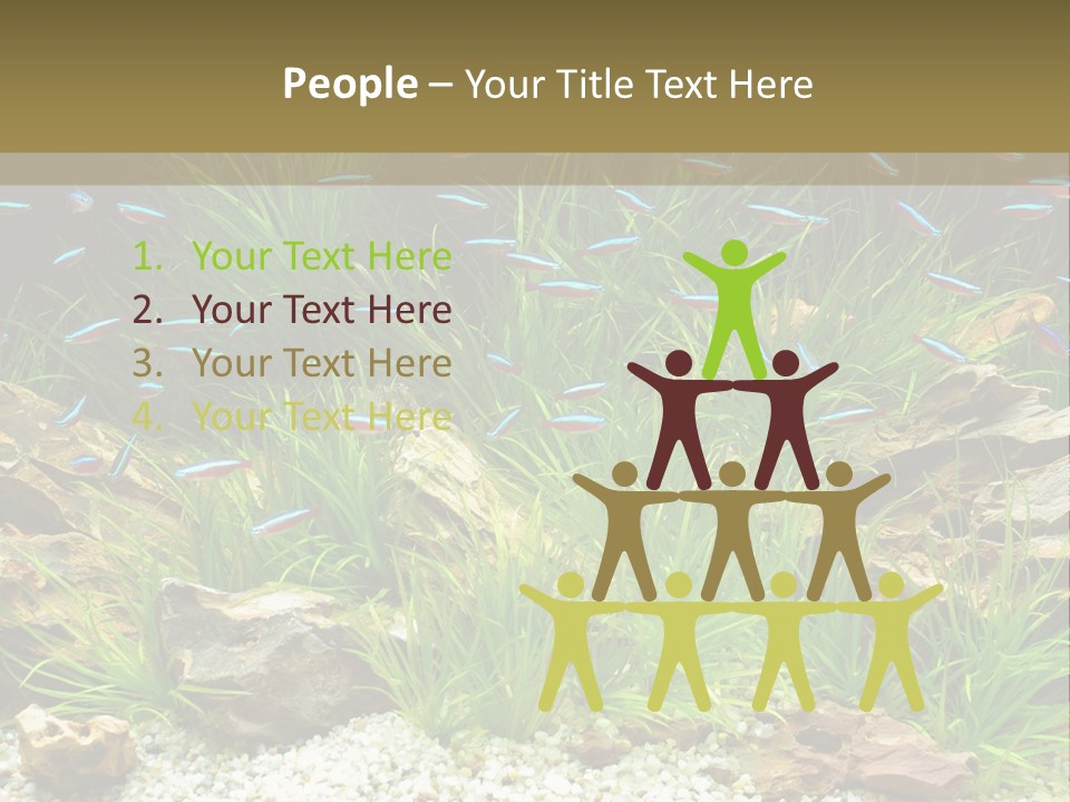 A Fish Tank Filled With Plants And Rocks PowerPoint Template