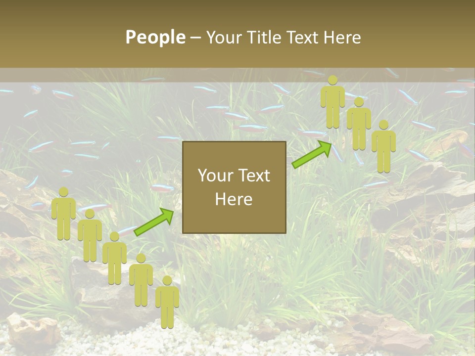 A Fish Tank Filled With Plants And Rocks PowerPoint Template