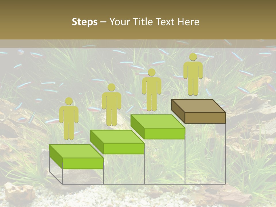 A Fish Tank Filled With Plants And Rocks PowerPoint Template