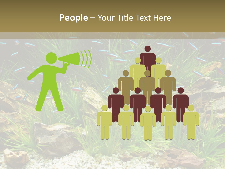 A Fish Tank Filled With Plants And Rocks PowerPoint Template