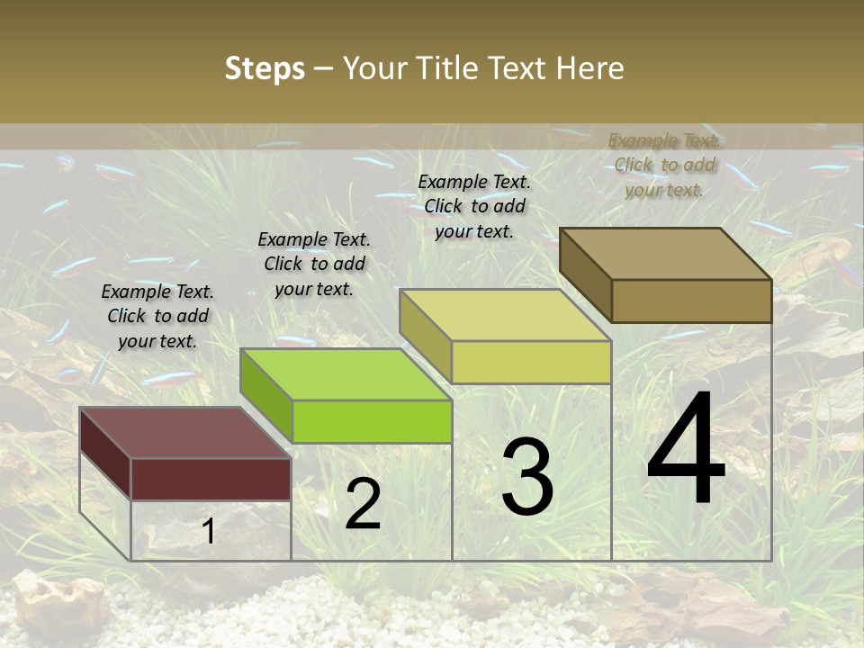 A Fish Tank Filled With Plants And Rocks PowerPoint Template