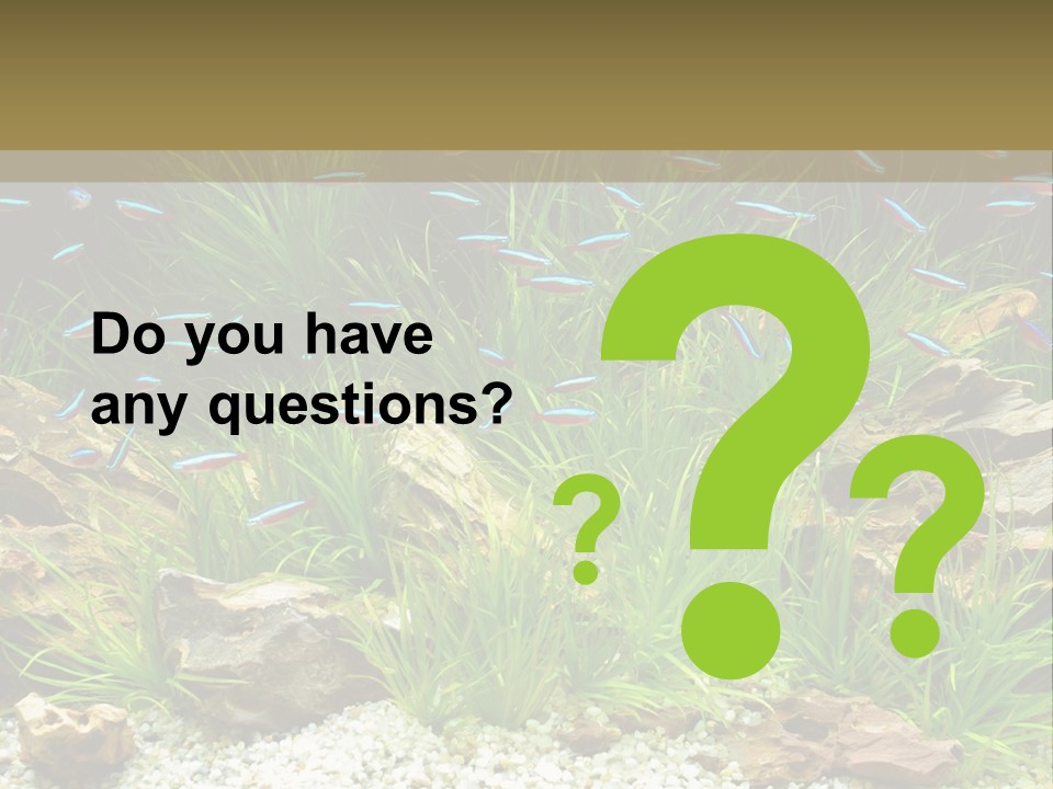 A Fish Tank Filled With Plants And Rocks PowerPoint Template