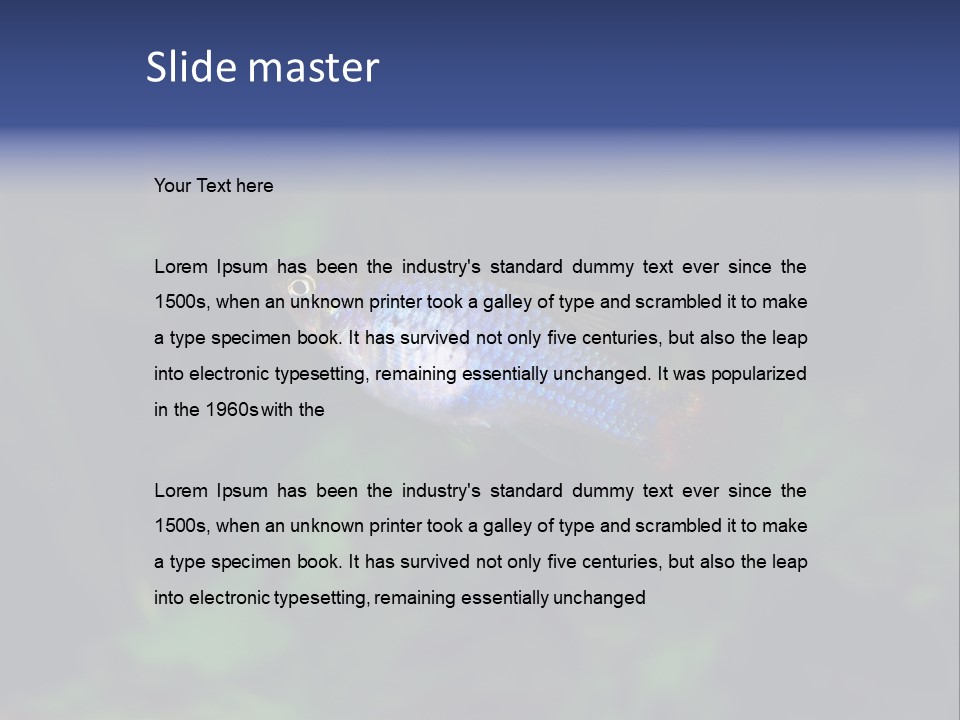 Symphysodon Fish Discus PowerPoint Template