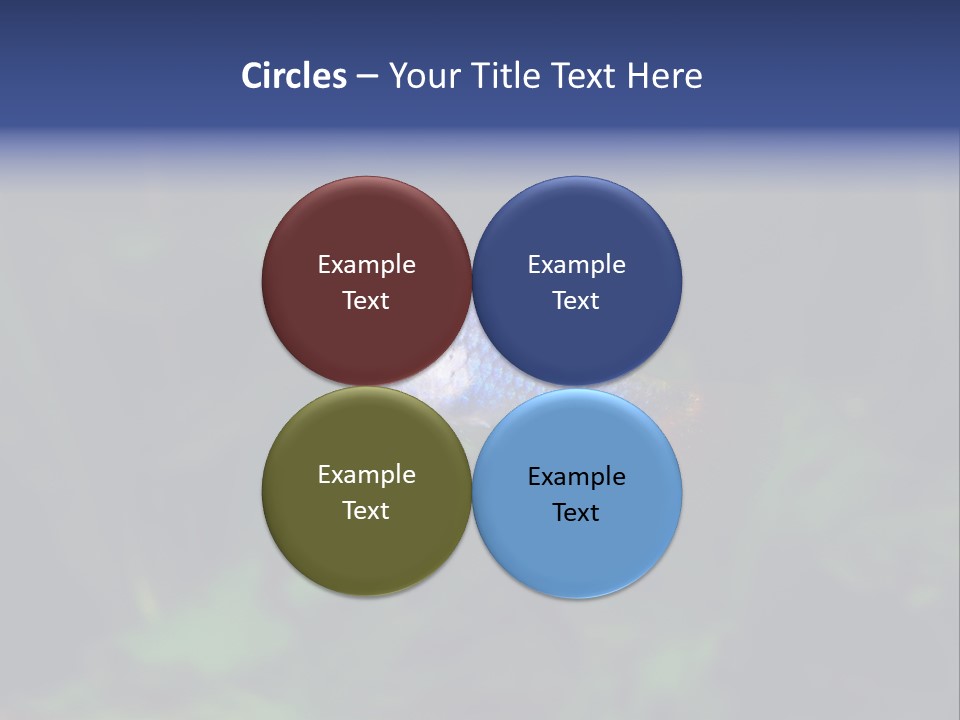 Symphysodon Fish Discus PowerPoint Template