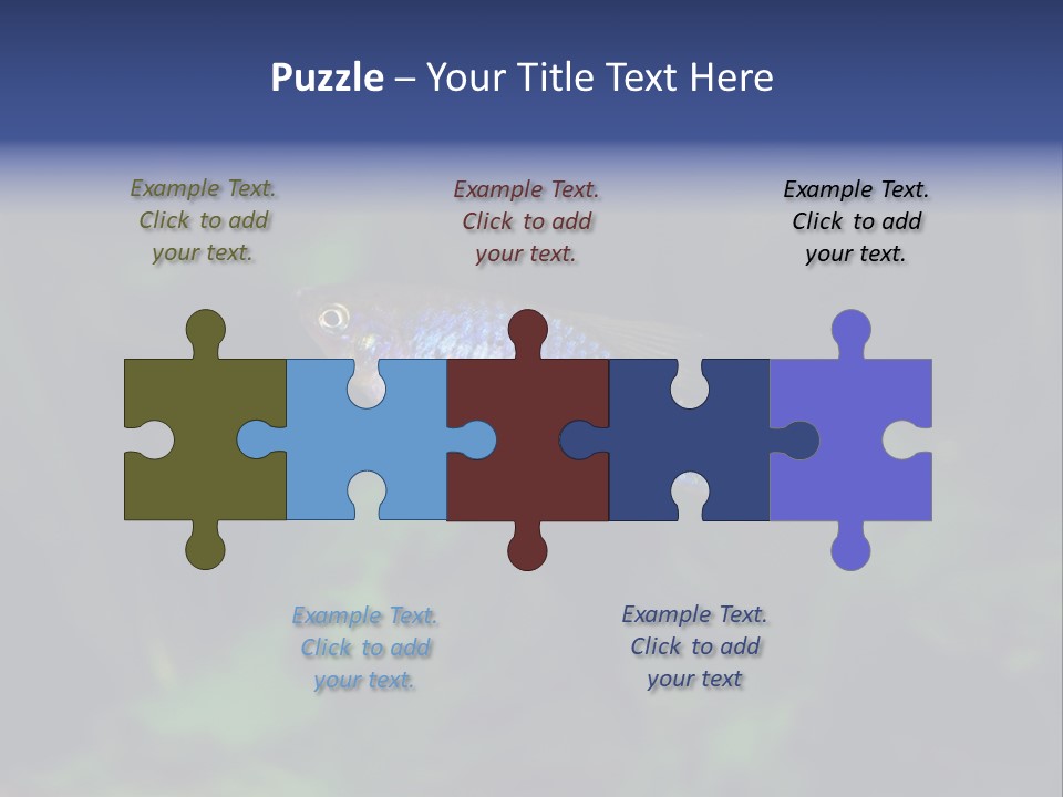 Symphysodon Fish Discus PowerPoint Template