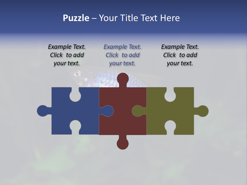 Symphysodon Fish Discus PowerPoint Template