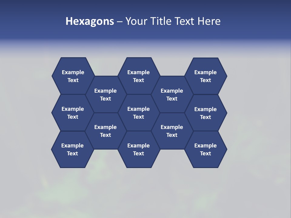 Symphysodon Fish Discus PowerPoint Template