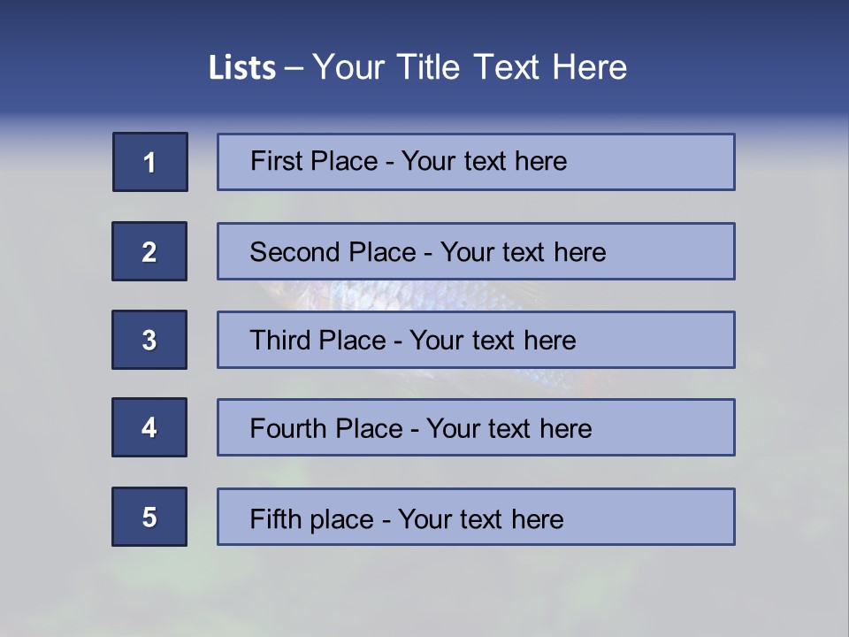Symphysodon Fish Discus PowerPoint Template