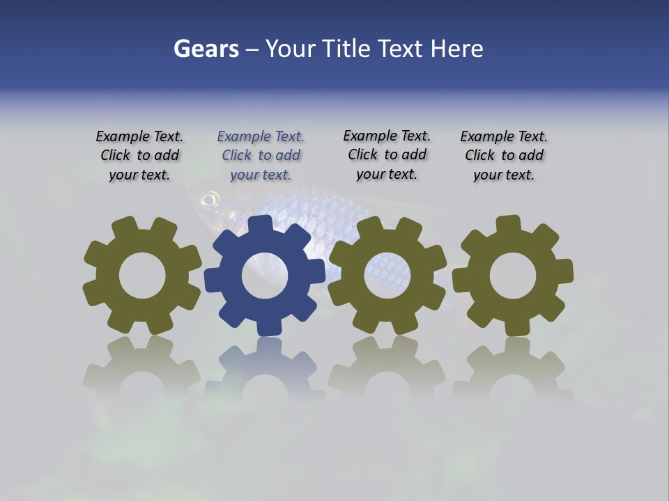 Symphysodon Fish Discus PowerPoint Template