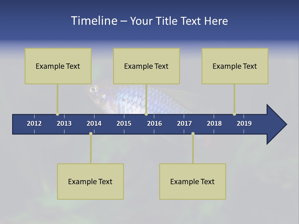 Symphysodon Fish Discus PowerPoint Template