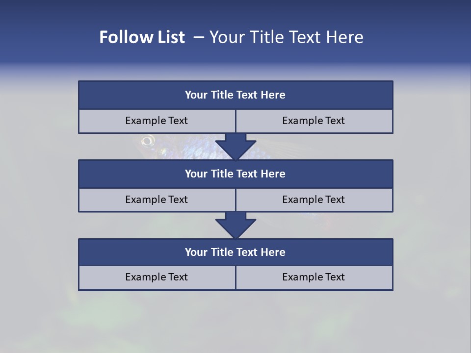 Symphysodon Fish Discus PowerPoint Template