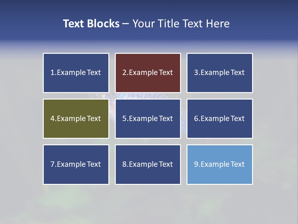 Symphysodon Fish Discus PowerPoint Template