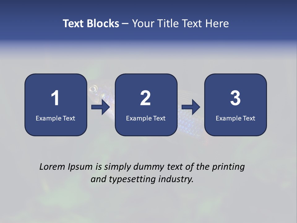 Symphysodon Fish Discus PowerPoint Template