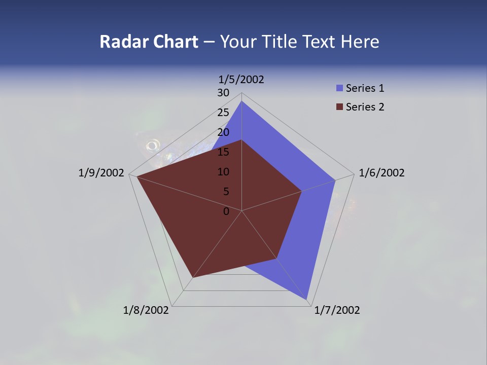 Symphysodon Fish Discus PowerPoint Template